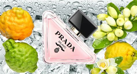 prada flowers|prada virtual flower perfume.